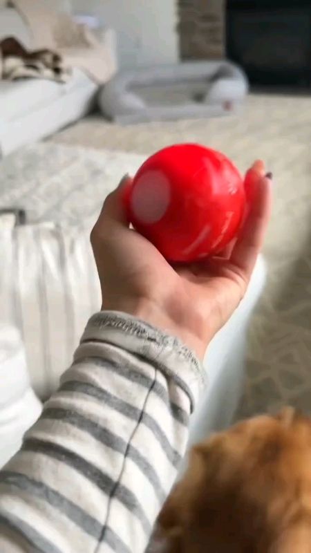 My dog loves it! 🥹 #dog #cat #pet #ball #toy #toys #FreeCoinsInShopeeVideo #shopeeVideo #MasMuraSaShopee