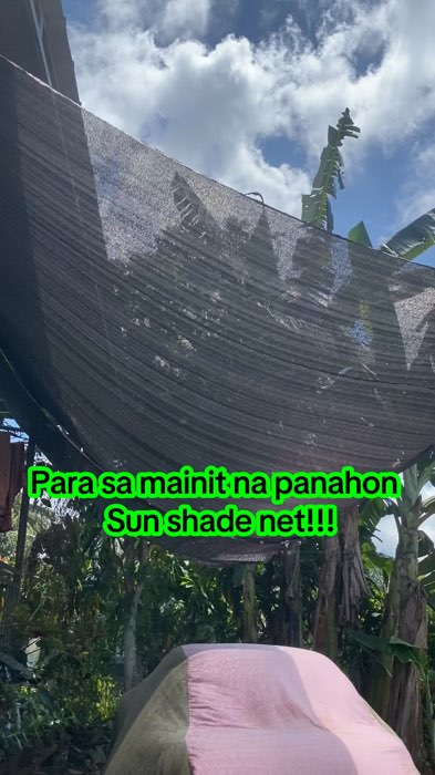 Sunshade net