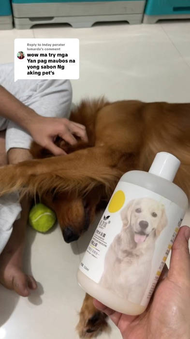 Dog Shampoo