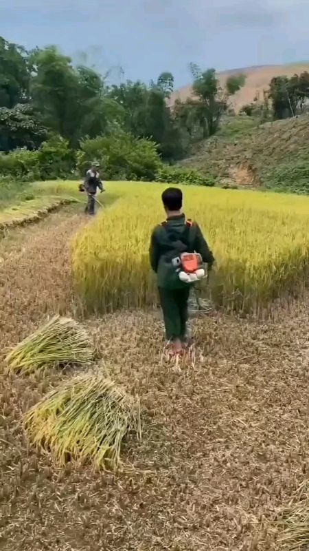 #Duet with optijuicestore electric grass cutter