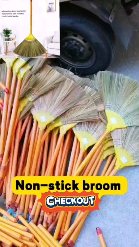 Micanthus Broom | walis tambo #MasMuraSaShopee