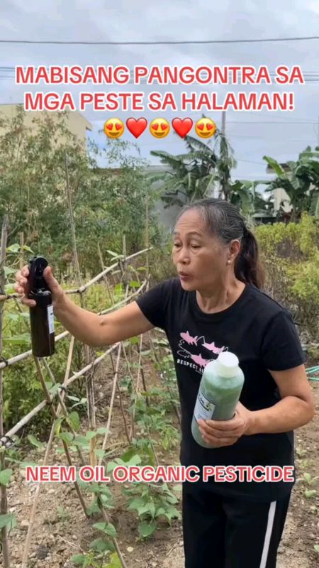 #NeemOil #Pesticide #Plantita #Plantito #Organic #Spray #EasytoUse  #Masmurashoppee #Freecoinsshoppevideo #shopeephplaylist #fyp #viral #trending