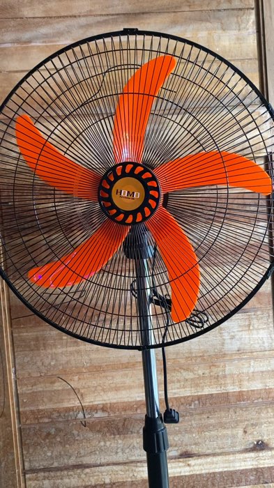 homo fan #homofan #electricfan #electricfans #fyp #fyps #foryou