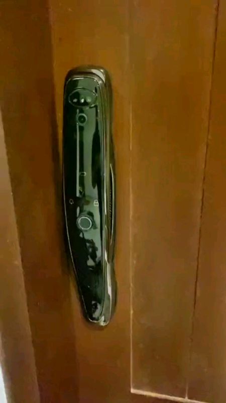 Smart Fingerprint Door Lock Anti-theft Sliding Gate Lock Keypad/Card/HD Camera Fully Automatic Locks#wow #astig