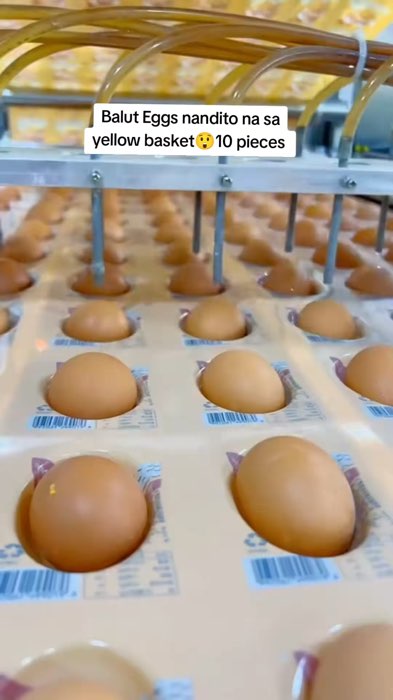 Balut eggs 2 flavors #baluteggs #spicybalut #readytoeat