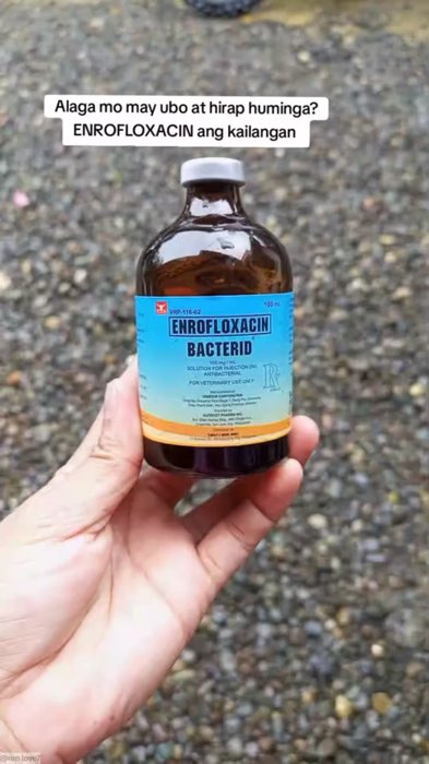 Bacterid enrofloxacin#FARMRAISER #animalcare #HOGRAISER