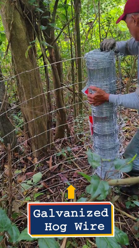Galvanized Hog Wire Farm Fence #fyp #viral #trending #hogwire #farmfence #fence #ShopeePHPaydaySale #MasMuraSaShopee #FreeCoinsInShopeeVideo