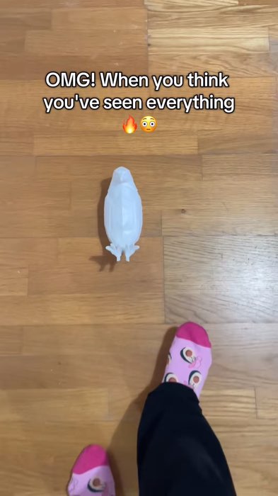 #FreeCoinsInShopeeVideo #MasMuraSaShopee #shopeefinds #shopee #fyp #viral #buynow #ligth #bird #modern #creative