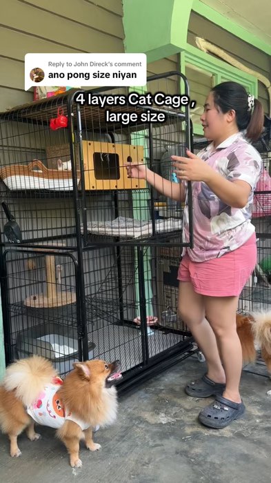 4 layers cat cage #catcage #heavydutycatcage #4layerscatcage
