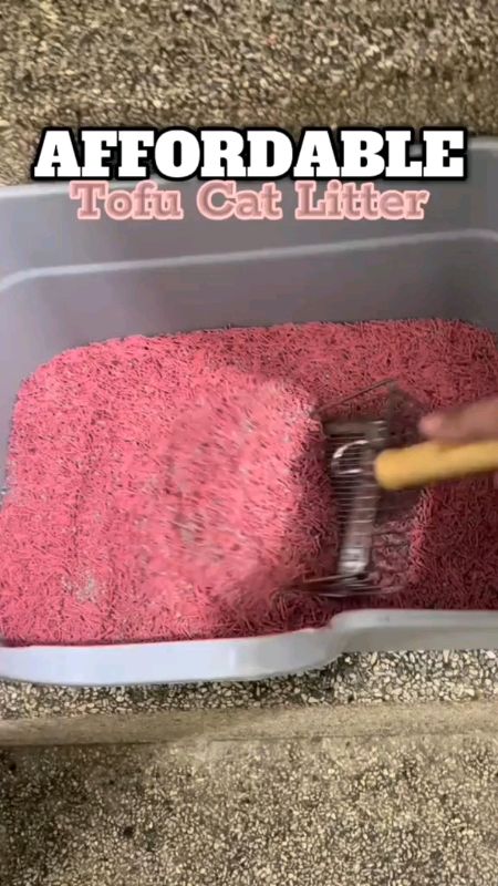 Cat Litter Sand 6L Fast Clumping Tofu Cat Litter with Dust Free bentonite❤️😻#tofucatlitter #catlittersand #FreeCoinsInShopeeVideo #trend #fyp #Recos