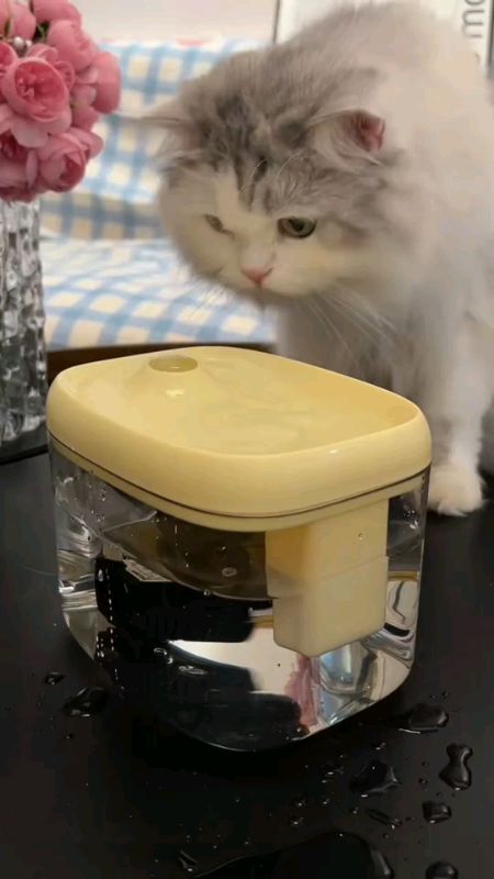 #petwaterdispenser #fyp #foryou #trending #viral #shopeefinds #masmurasashopee #highlights #paydaysale #budol