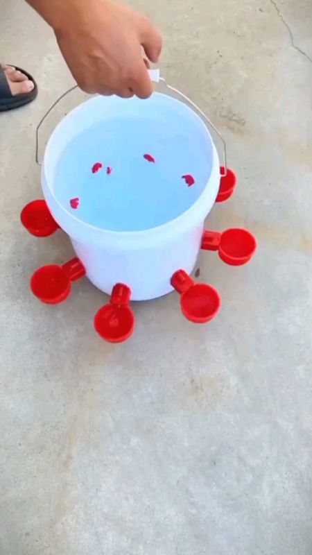 #chickenwaterdrinker #chickenwaterer #chickendrinkerbowl  #foryou #fyp #viral #trending #FreeCoinsInShopeeVideo #MasMuraSaShopee