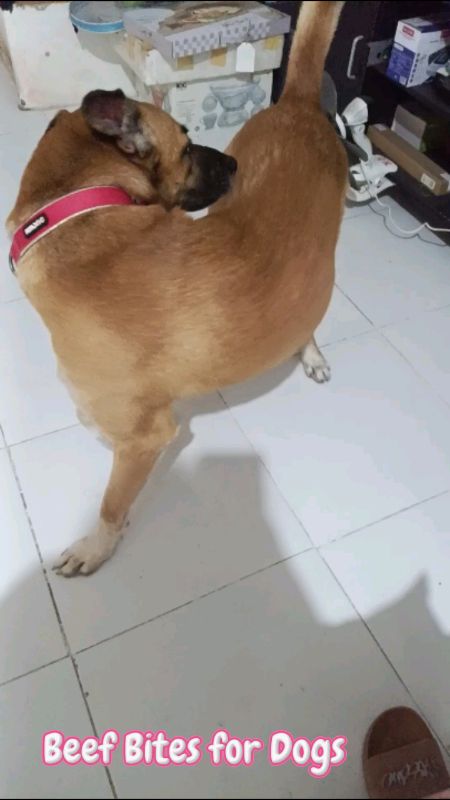 #beefbites
