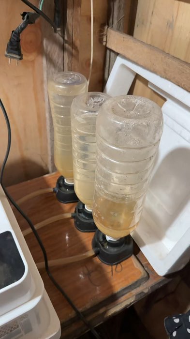 Egg incubator #incubator #eggincubator #incubators