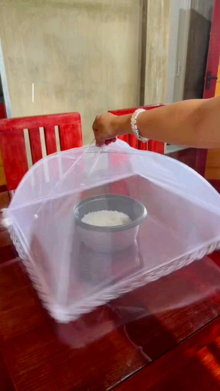 Mesh Cover Net for Table Washable #FreeCoinsInShopeeVideo #MasMuraSaShopee #shopeeph #quality #viral #fyp