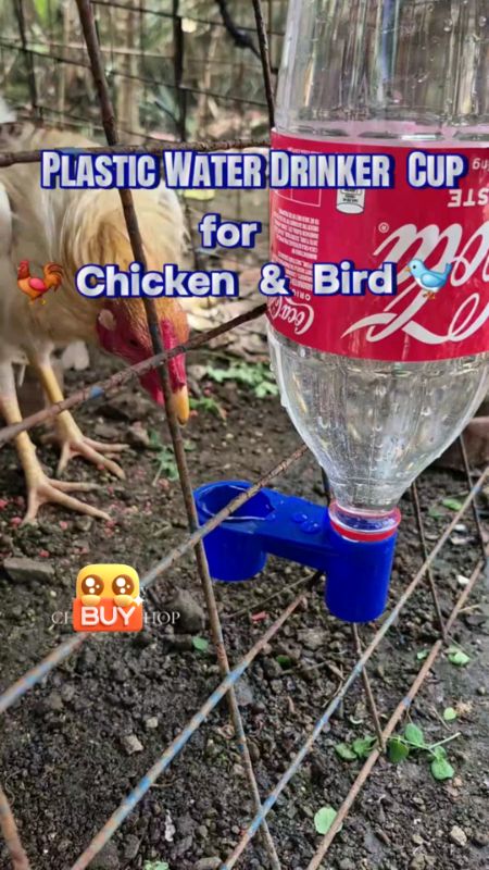 Plastic Water drinker for chicken #masMURAsaShopee #MasMuraSaShopee
