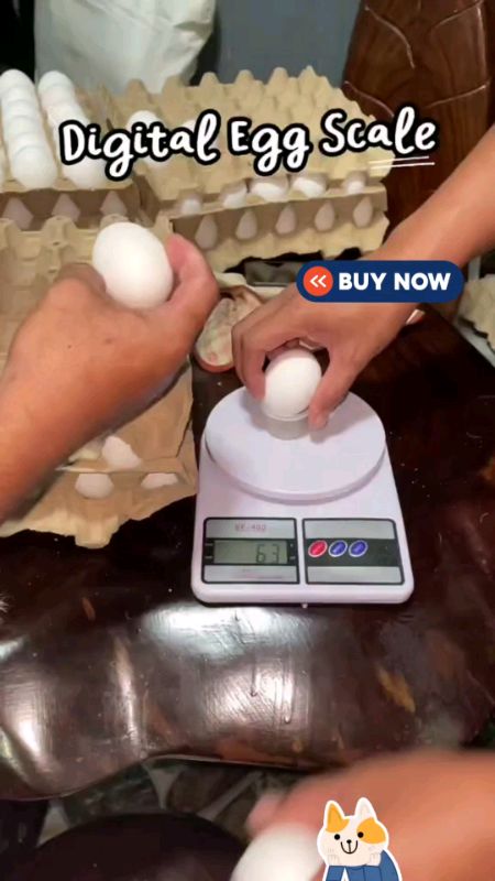 digital egg weighing scale LCD dual function egg weighing scale #digitaleggweighingscale #timbanganngitlog #poultrybusiness #poultryessentials #egg