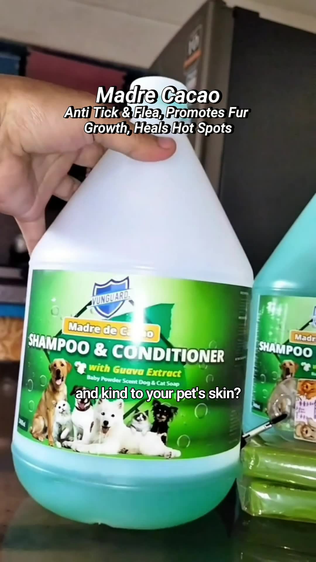 Madre de Cacao Shampoo and Conditioner with Anti Tick and Flea Extract #dog #pet #shopee #fyp