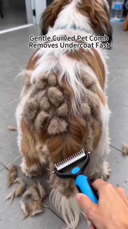 dog comb#fleacomb#doggrooming