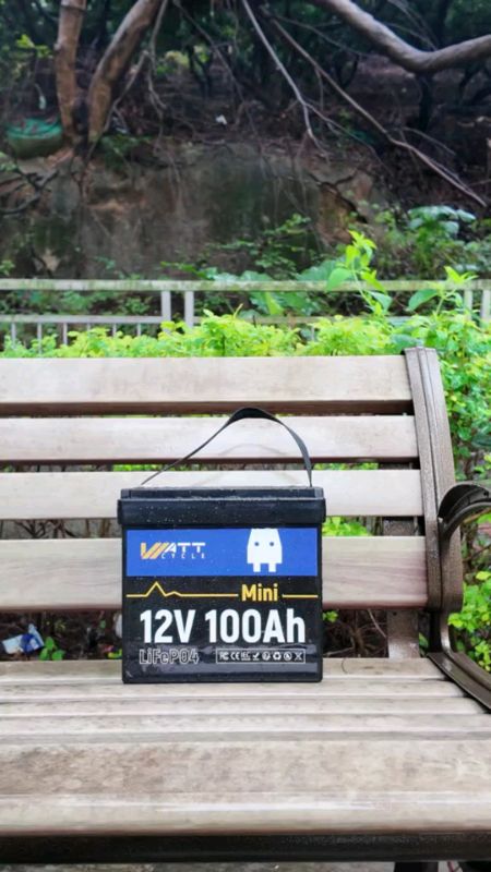 12V 100Ah/314Ah/24V 100Ah LiFePO4 Battery For Solar, Marine, Home Energy Storage #FreecoinsInShopeeVideo #ShopeePHPayDaySale #HugotSaShopee