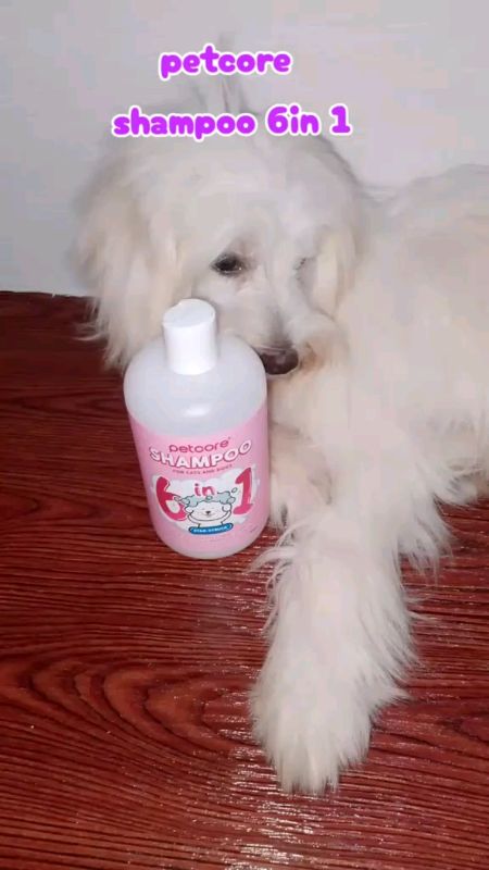 Petcore Pet Shampoo 500ML for Dogs and Cats Eliminates Odor Softens Shines Fur Moisturizes Pet Care #freeccoinshopeevideo