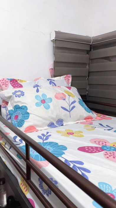 Home Bless Printed Series 3N1 BedSheet - Fully Garterized - Fitted sheet & 2 pillowcases #ShopeePHPaydaySale #HugotSaShopee #MasMuraSaShopee