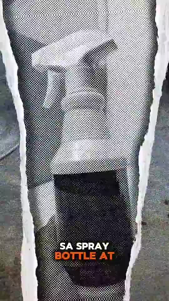 insect killer spray na effective,