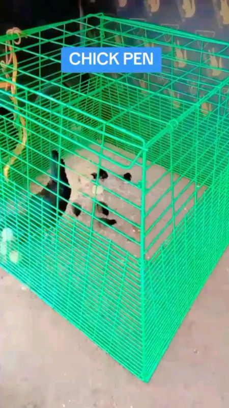 Collapsible Scratch Pen And Chicken Pen For Chicken Available In Red Blue And Green #shoppemaspinamura #trending #freecoins