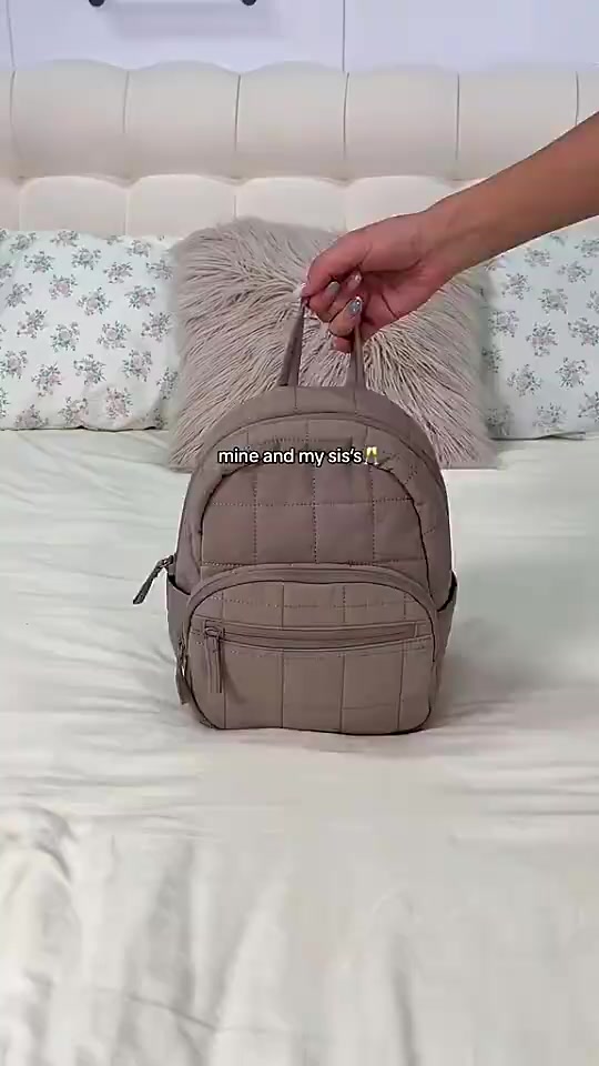 Bagsmart puffer Backpack