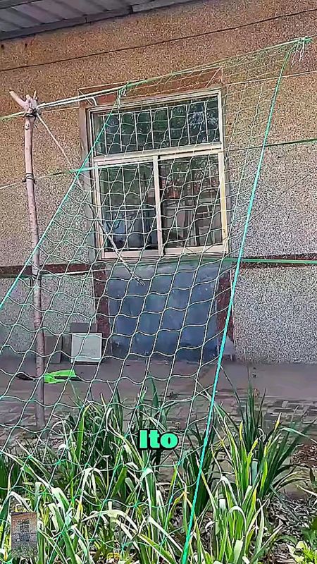 #1.8*3.6m #garden #green #Nylon #mesh #support #climbing #bean #plant #Net #Planting #fence #climbing #Net #Support #trending #tool #diy