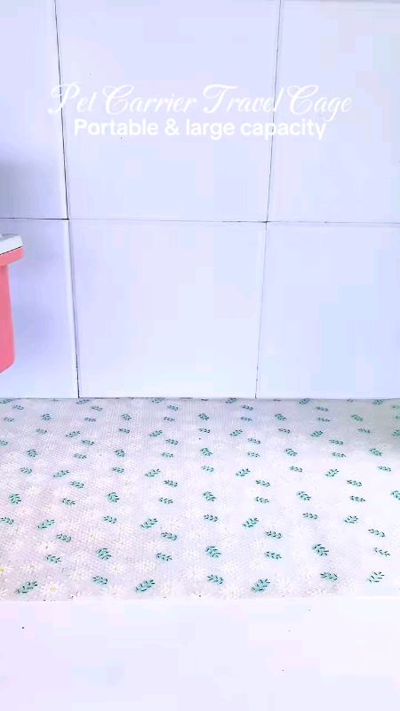 #ShopeePHPaydaySale #FreeCoinsInShopeeVideo #fyp
