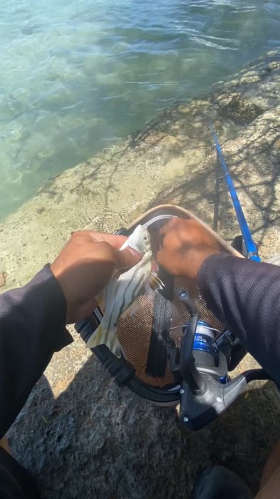 Fishing set for beginners / newbies #amusthave #fishing #fishingrod #fishinglife #fishingtips