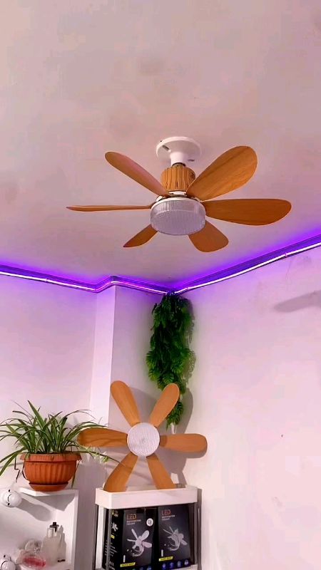 Jiditech Ceiling Fan Light With Remote Control 30w/60w 6 Blades #jiditechlight #ceilinglight #ceilingfanlight #6bladesceilingfan #ceilingfan #fan