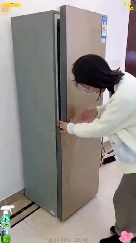 refrigerator cleaner