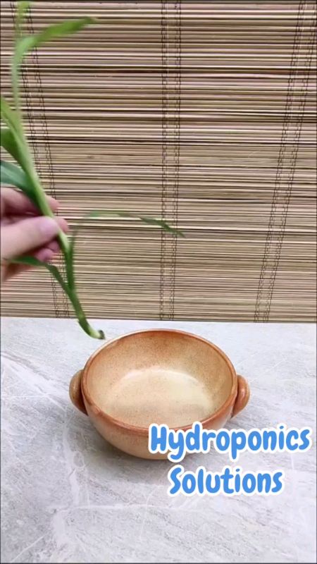 Hydroponics Solutions #MasMuraSaShopee #FreeCoinsInShopeeVideo #ShopeeCommsXTRA #shop #seller #fyp #trending #viral #paydaysale#hydrophonics