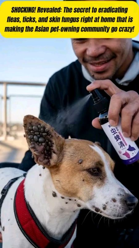 Flea remover