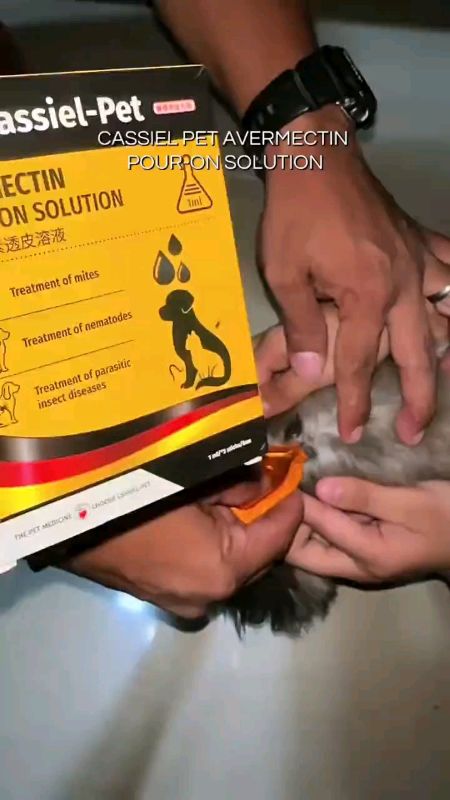 Cassil Pet Tick and Flea Spot Treatment for acat and Dog #trending #MasMuraSaShopee #FreeCoinsInShopeeVideo