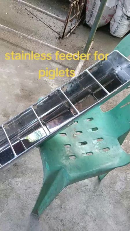 Piglets Trainer Feeder Stainless 10slots#pigletstrainer#pigletstrainer#stainless#MasMuraSaShopee#freecoininshopeevideos#shopeephdaysale#HugotSaShop#hu
