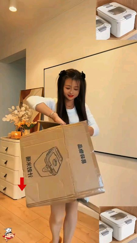 Rice Storage Food Container Food Storage Rice dispenser Pet Food Container #ShopeeFinds #RiceDispenser #RiceStorage #FoodContainer #KitchenOrganizer