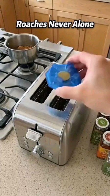 #cockroachgel #cockroachkiller #FreeCoinsInShopeeVideo #trending #viral #fyp