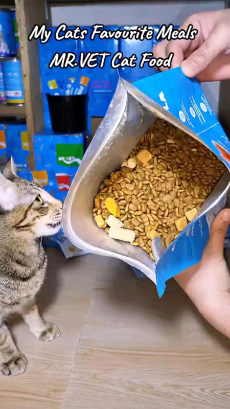 cat dry food mr vet