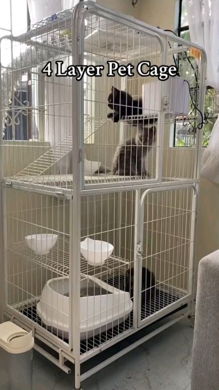 #Pet #Cat #Cage #House #XTRAChallenge