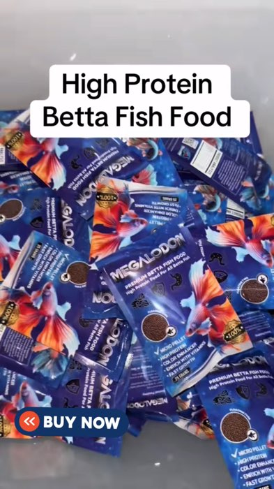 High Protein Food for Betta Fish