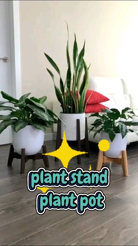 stand/bracket for potted plants. #trending #plantstand #followers #plantita #plantito #followme #viral #foryou #fy #vidbytlv #vidbysmileandshop