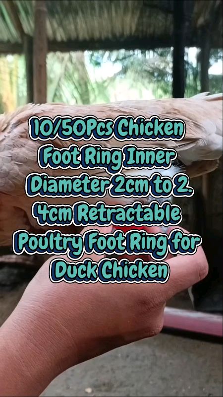 #FreeCoinsInShopeeVideo  #MasMuraSaShopee #hugotsashopee #fyp #trending #viral #chickenfootring