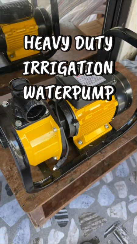 Heavy Duty Irrigation Water Pump Motor #irrigation #waterpump#MasMuraSaShopee#trending #fyp #viral #foryou#FreeCoinsInShopeeVideo #ShopeePHPaydaySale