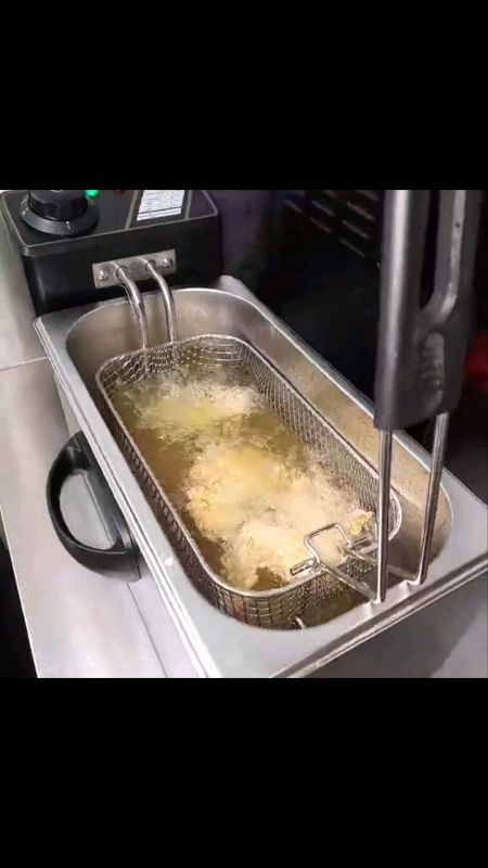 Deep Fryer Electric