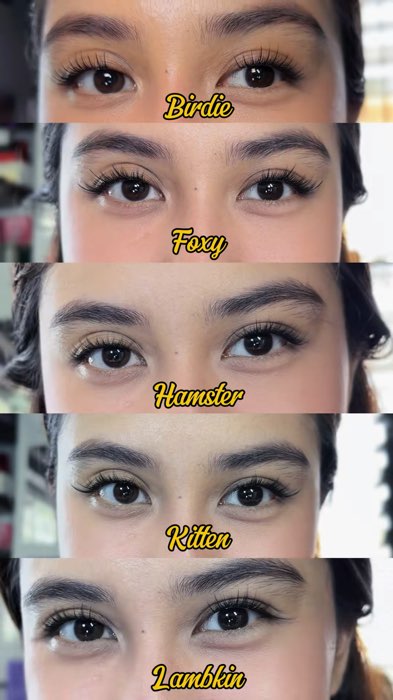 Elyzza Animal Inspired Cluster Lashes #MasMuraSaShopee #FreeCoinsInShopeeVideo #fyp #viral #trending #lashes #clusterlashes