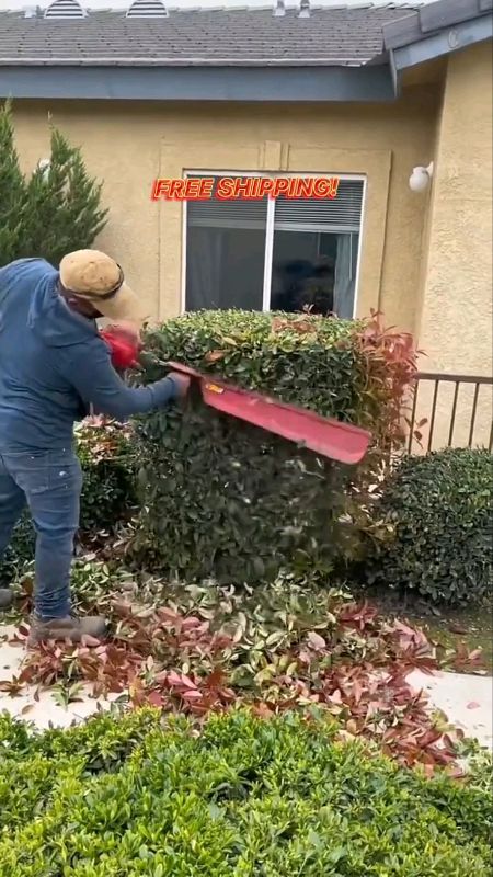 #garden#landscaping#gardening#WishlistMoSagotKo#ShopeePHPaydaySale#Shopee33InstantSurprise#FreeCoinsInShopeeVideo#HugotSaShopee#MasMuraSaShopee#trend