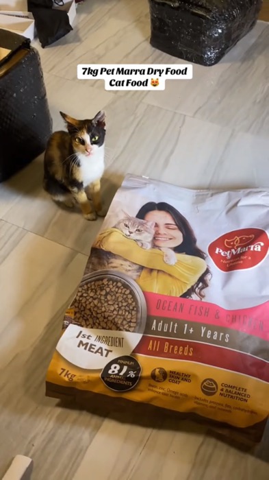 ￼PetMarra Kitten and Adult Cat Dry Food Oceanfish Chicken Liver Beef Milk Flavor 7kg Collection #petmara #cat #catdryfood